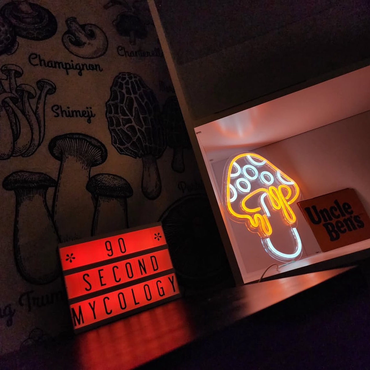 90 second mycology 